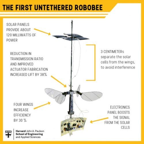 Конструкция робота Robobee