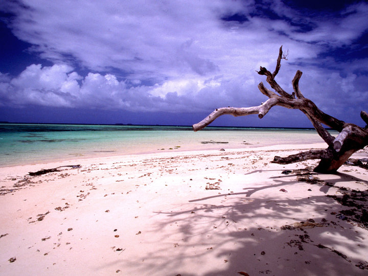 Пляж одного из атоллов Маршалловых островов. Фото: wikipedia.org