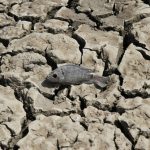 Ученые выяснили, откуда взялся огромный водоем под пустыней в Израиле