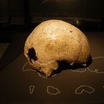 Найдена неожиданная причина вымирания неандертальцев