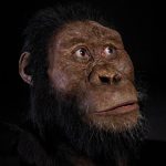 Посмотрите, как выглядели наши предки, жившие почти 4 миллиона лет назад