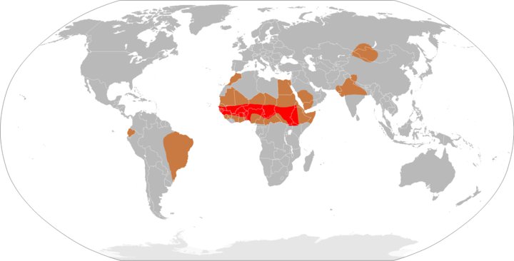 Мировая распространённость менингококкового менингита (на 2009 г.) Источник: wikipedia.org
