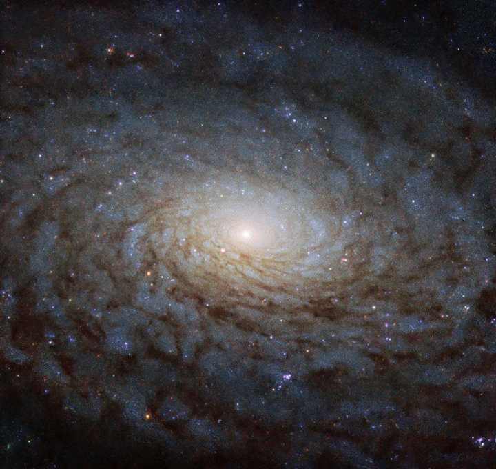 NGC 4380. Фото: ESA/Hubble & NASA, P. Erwin