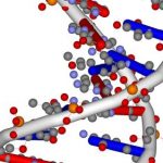 Ученые извлекли квадратный корень из 900 при помощи «компьютера» на основе синтетической ДНК