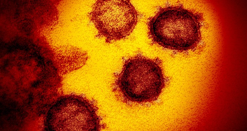 Определен возраст коронавируса — ему от 20 до 70 лет