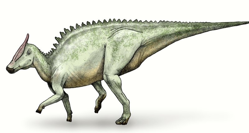 Редкий вид человеческого рака нашли на хвосте динозавра