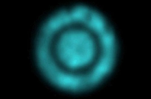 Снимок лазерного импульса