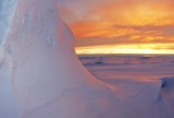 Восток и его обитатели: тайны подледного озера Антарктиды
