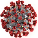 Российский ученый высказался о внеземном происхождении коронавируса