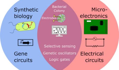 Синтетическая биология и микроэлектроника