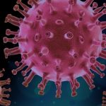 Обнаруженные у коронавируса «зловещие щупальца» озадачили ученых
