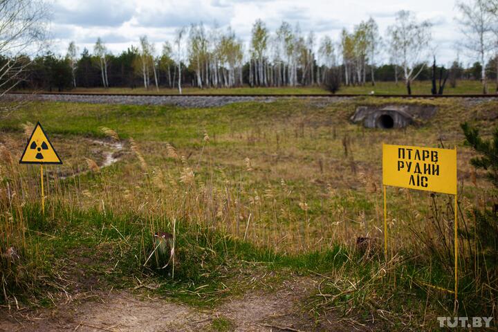 Спецобъект «Рыжий лес» — территория сильного загрязнения радионуклидами. Посещение этой территории до сих пор запрещено. Фото: Дмитрий Брушко, TUT.BY